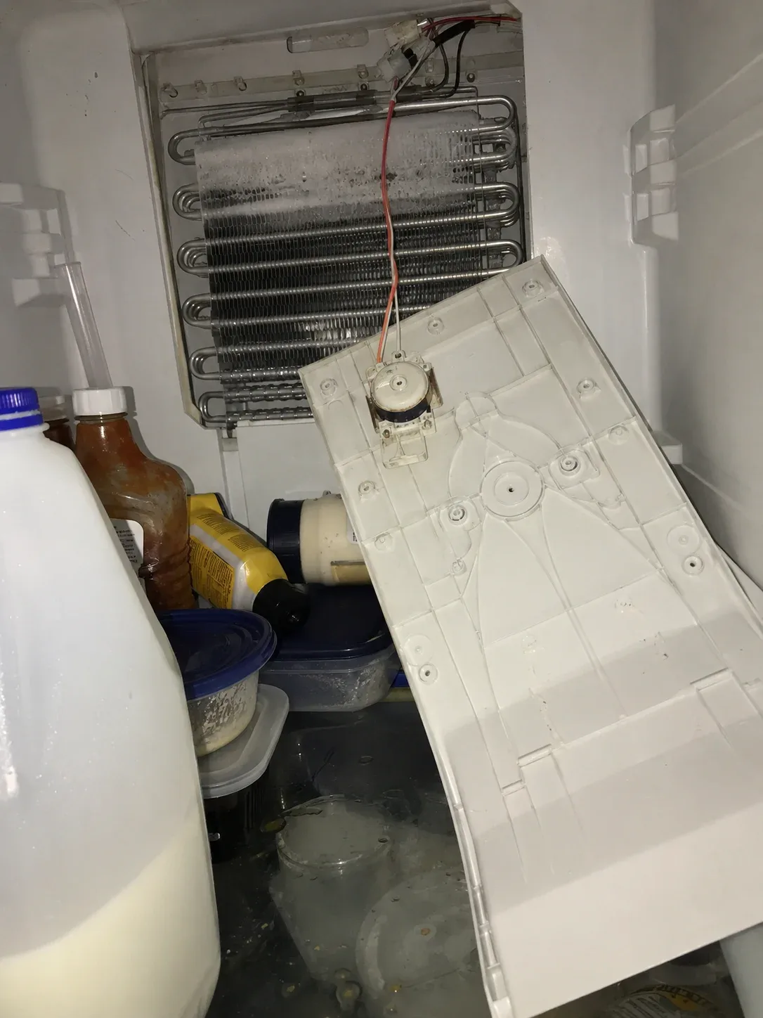 LG Refrigerator Not Cooling in Glenmore, Kelowna